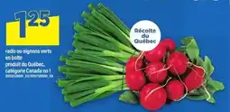 Maxi radis ou oignons verts offer