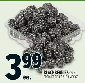 Metro Blackberries offer