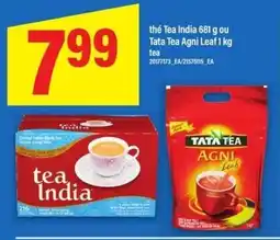 Maxi tea India offer