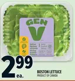 Metro Gen V boston lettuce offer