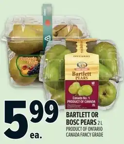 Metro Bartlett or Bosc pears offer