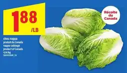 Maxi Nappa cabbage offer