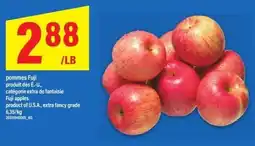 Maxi Fuji apples offer