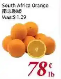 Tone Tai Supermarket South Africa Orange offer
