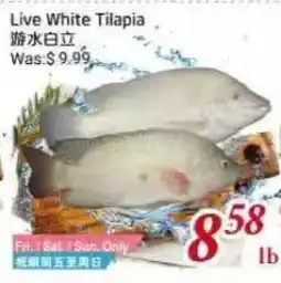 Tone Tai Supermarket Live White Tilapia offer