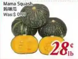 Tone Tai Supermarket Mama Squash offer