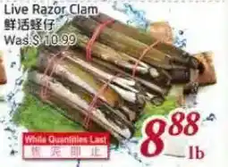 Tone Tai Supermarket Live Razor Clam offer