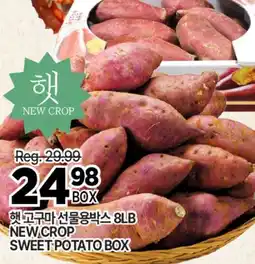H-Mart NEW CROP SWEET POTATO BOX offer