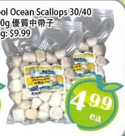 Food Depot Supermarket Pacifical Ocean Scallops 30/40 offer