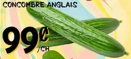 Marche Salaberry CONCOMBRE ANGLAIS offer