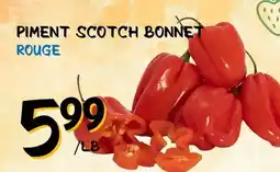 Marche Salaberry PIMENT SCOTCH BONNET ROUGE offer