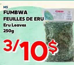 Marche Salaberry MS FUMBWA FEUILLES DE ERU offer