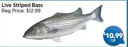 Blue Sky Supermarket Live Striped Bass offer