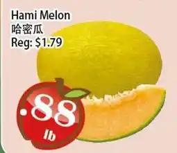 Food Depot Supermarket Hami Melon offer