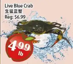 Food Depot Supermarket Live Blue Crab offer
