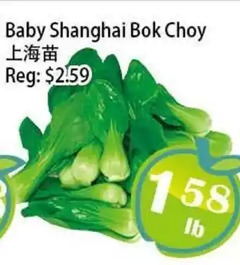 Food Depot Supermarket Baby Shanghai Bok Choy offer
