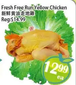Food Depot Supermarket Fresh Free Run Yellow Chicken offer