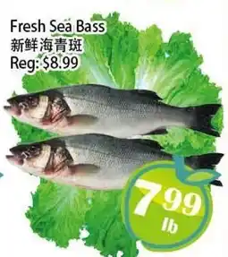 Food Depot Supermarket Fresh Sea Bass offer