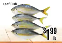 Nations Fresh Foods Leaf Fish offer