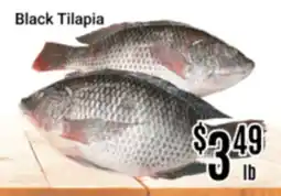 Nations Fresh Foods Black Tilapia offer