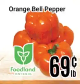 Nations Fresh Foods Orange Bell Pepper offer