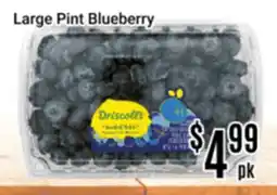 Nations Fresh Foods Large Pint Blueberry offer
