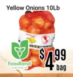 Nations Fresh Foods Yellow Onions 10Lb offer