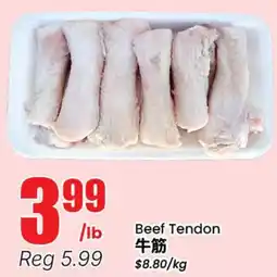Terra Foodmart Beef Tendon offer