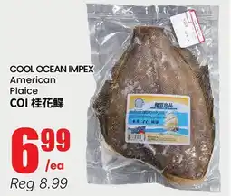 Terra Foodmart COOL OCEAN IMPEX American Plaice offer