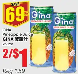 Terra Foodmart GINA Pineapple Juice offer