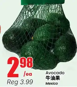 Terra Foodmart Avocado offer