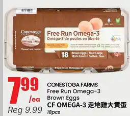 Terra Foodmart CONESTOGA FARMS Free Run Omega-3 Brown Eggs offer