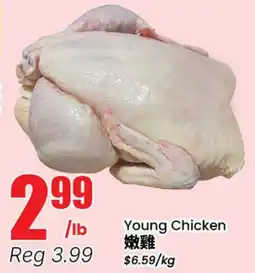 Terra Foodmart Young Chicken offer