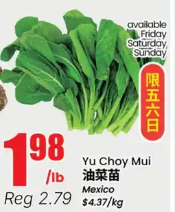 Terra Foodmart Yu Choy Mui offer