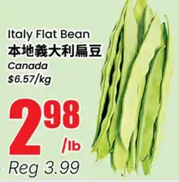 Terra Foodmart Italy Flat Bean offer