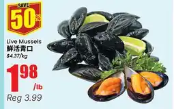 Terra Foodmart Live Mussels offer