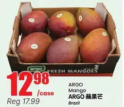 Terra Foodmart ARGO Mango offer