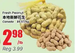 Terra Foodmart Fresh Peanut offer