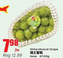 Terra Foodmart Shine Muscat Grape offer