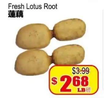 Yuan Ming Supermarket Fresh Lotus Root offer