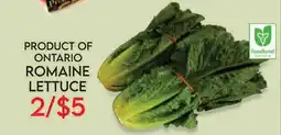 Fiesta Farms PRODUCT OF ONTARIO ROMAINE LETTUCE offer