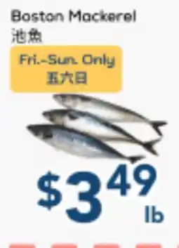 Oceans Fresh Food Market Boston Mackerel offer