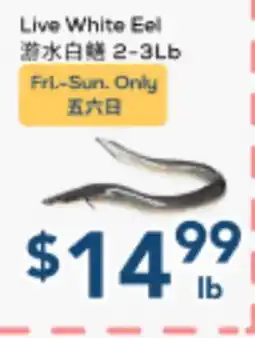 Oceans Fresh Food Market Live White Eel offer