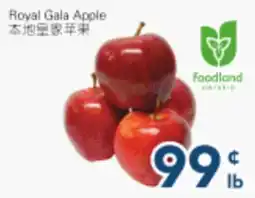 Oceans Fresh Food Market Local Royal Gala Apple offer