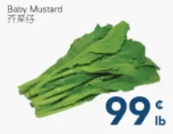 Oceans Fresh Food Market Baby Mustard offer
