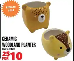 Len's Mill Stores CERAMIC WOODLAND PLANTER offer