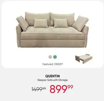 Meubles RD QUENTIN Sleeper Sofa with Storage offer