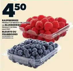 Loblaws Raspberries or Blueberries offer
