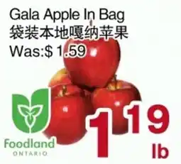 First Choice Supermarket Gala Apple In Bag offer
