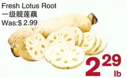 First Choice Supermarket Fresh Lotus Root offer